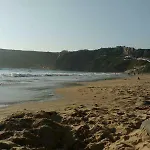 Cegonha Do Mar